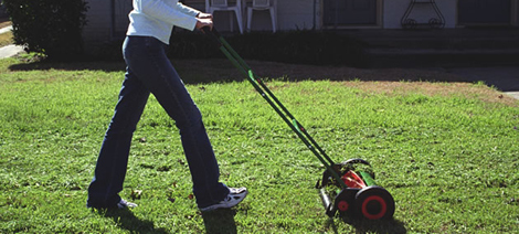 reel_lawn_mowing.jpg