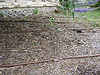 Drip irrigation setup