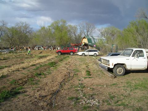 organic-farm-yeah.JPG