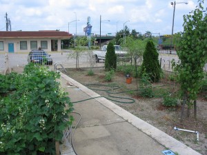 0-poolgarden
