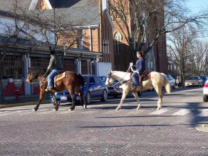 8-horses