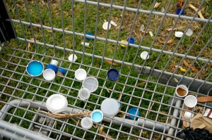Lids in a cart-FL.jpg Lids in a cart-FL.jpg