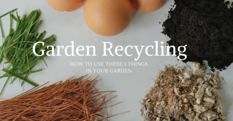 Recycling for the Garden